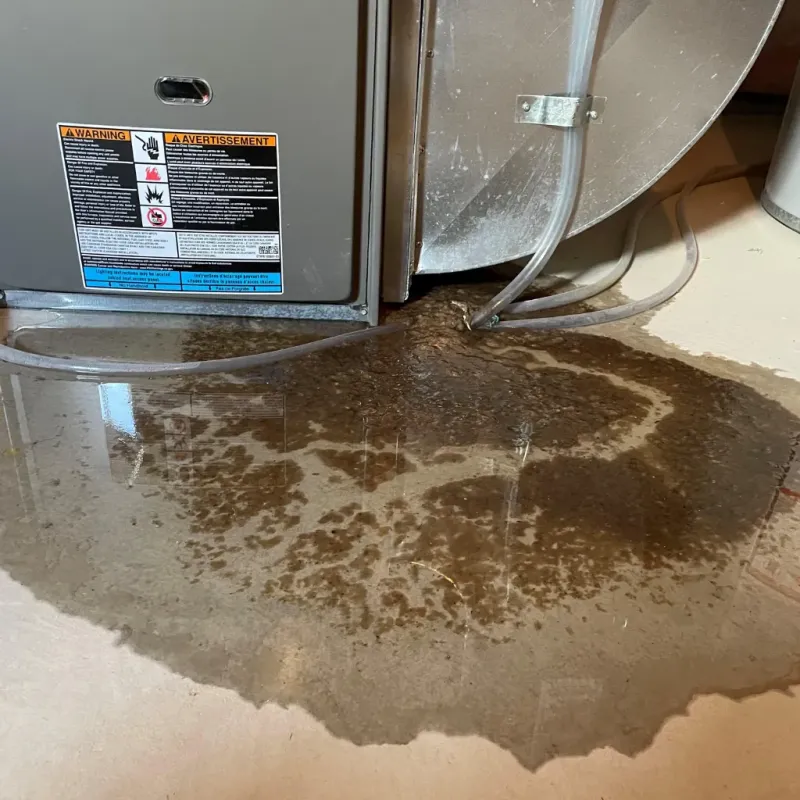 Appliance Leak Cleanup in Adelanto, CA